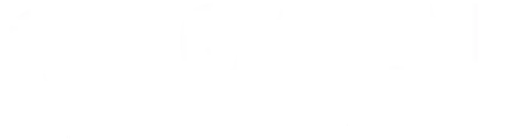 Global Security Group