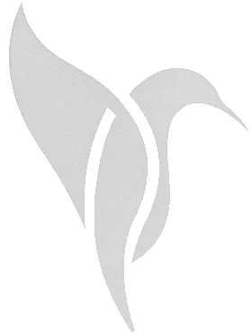 Hummingbird Insurance Services